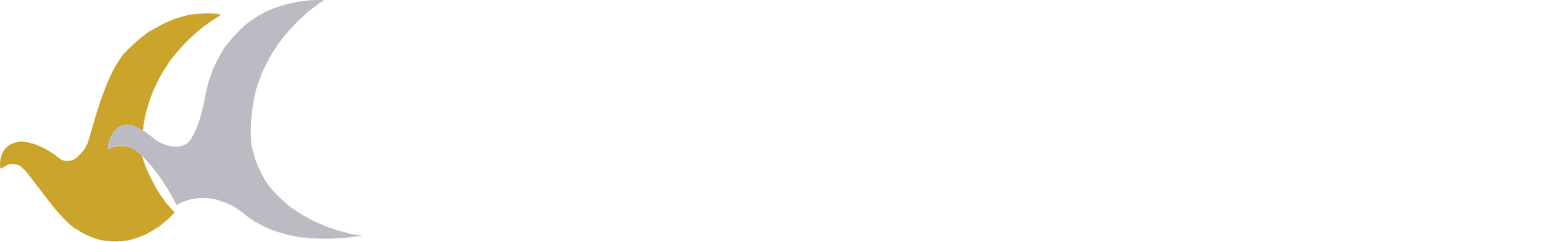 buddha_air_logo_white